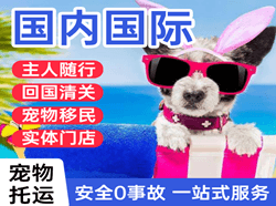 岳阳三荷国际宠物托运 【国